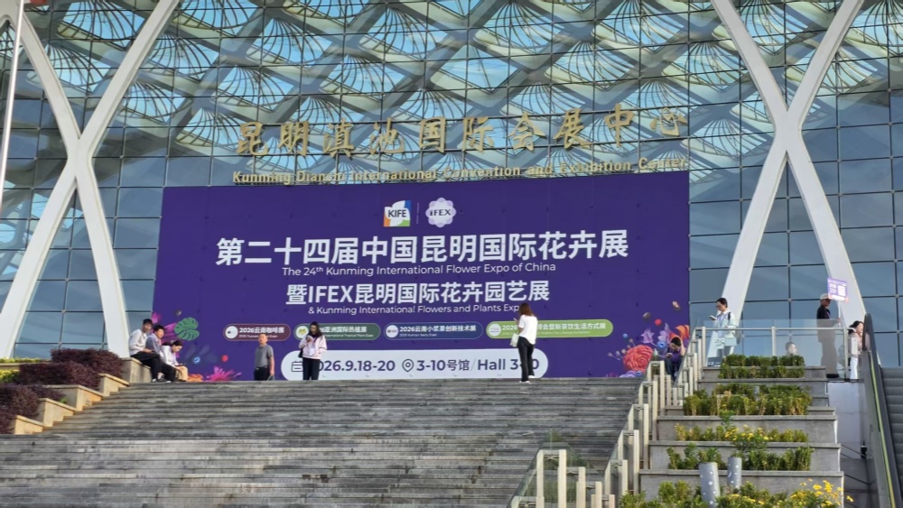 第 24 届昆明国际花卉展｜烟台方程机械携鲜花处理设备亮相，收获多国客商青睐